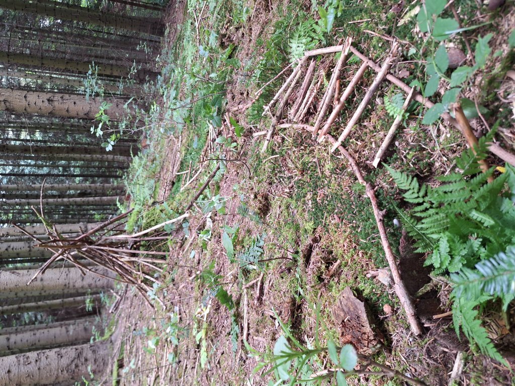 Die Natur als Lehrmeister